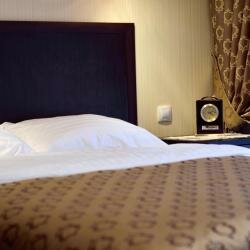 Гостиница Венеция Саратов-101