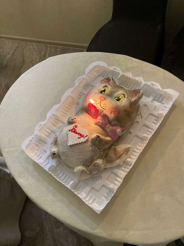 Гостиница Венеция Саратов-151